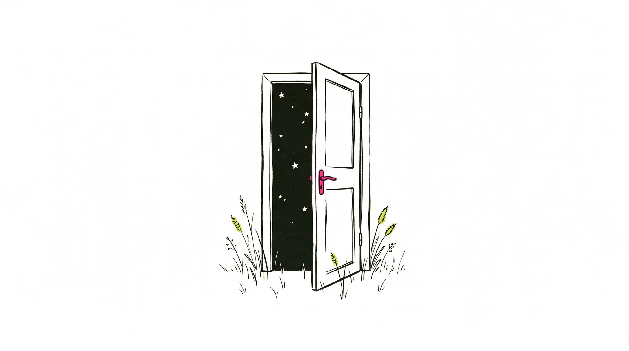 An ordinary door stands open in a grassy field with no walls around it, a starry night visible through the doorway.